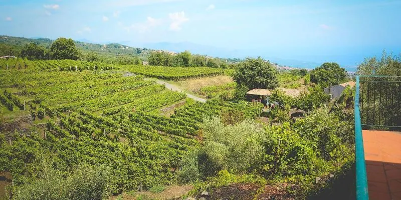 Le Case Del Merlo 米罗 酒店